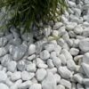 Otoczaki Bianco Carrara